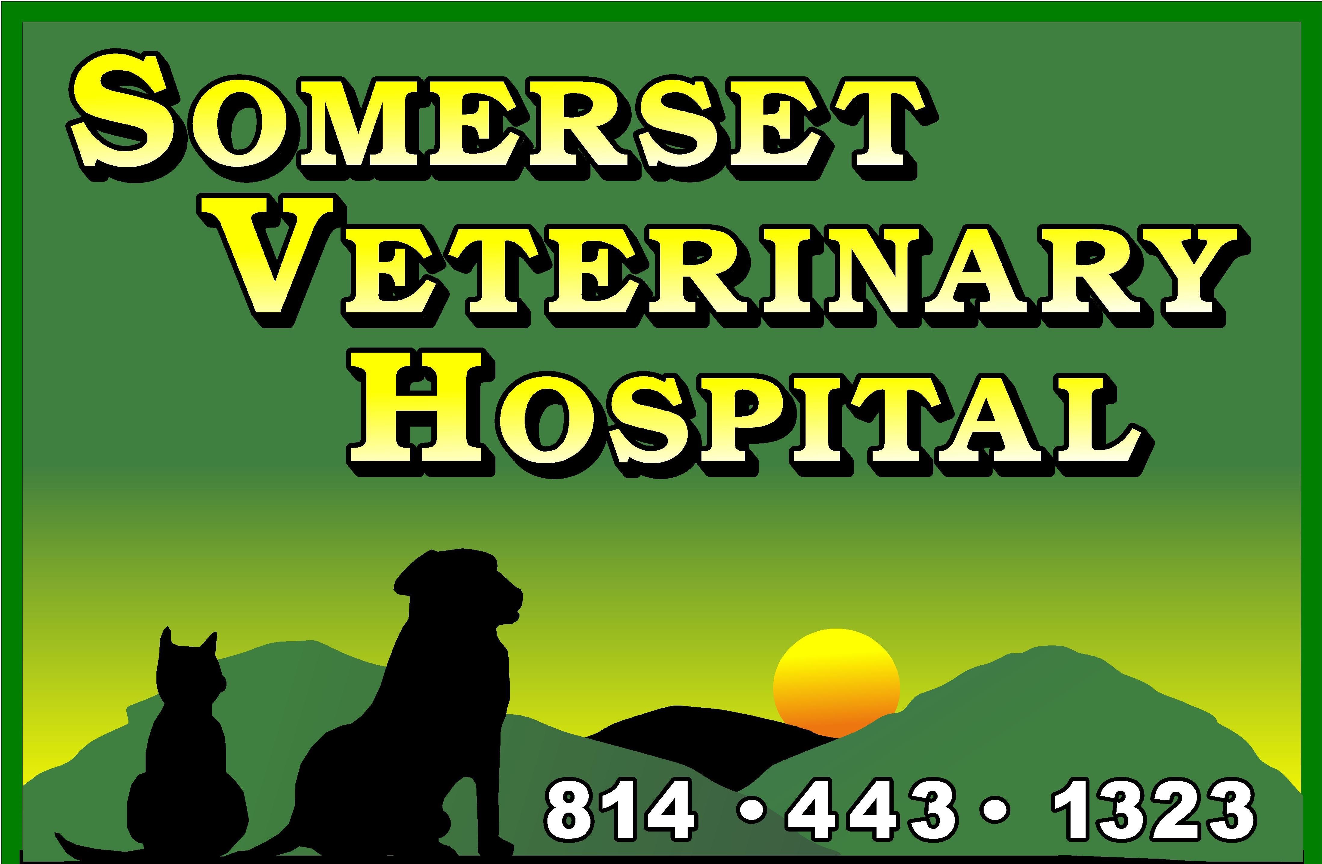 closest veterinarian